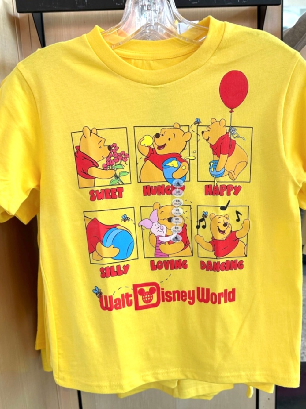 Disney Park Winnie the Pooh Panel Graphic Tee